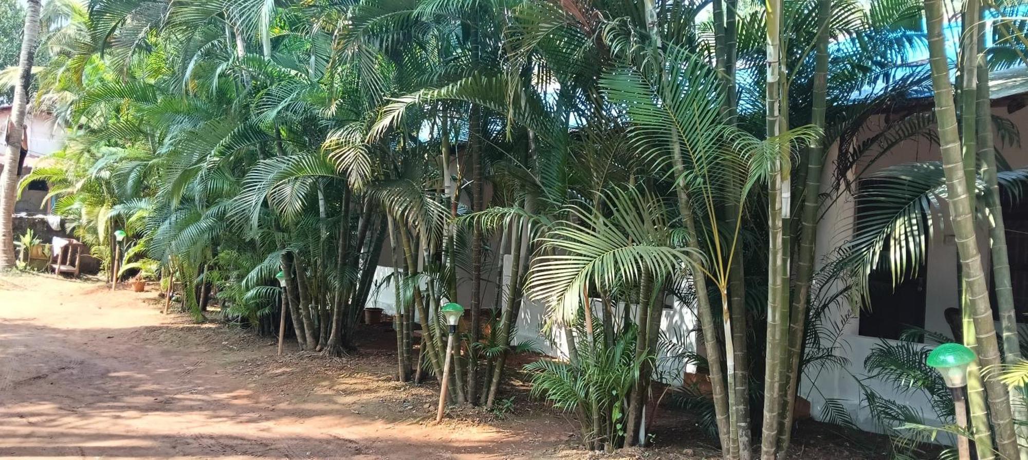 Casa Beach Hut Resort Palolem Bagian luar foto